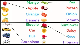 lkg class evs Worksheets | match the pictures with their name |fruits vegetables birds flowers name