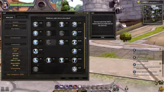 Dragon Nest Europe lv90 Abyss Walker PVE Skill Build