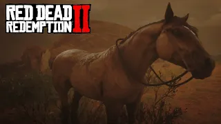 РЕДКАЯ лошадь из Нью Остина в Red Dead Redemption 2 | Мустанг Тигровая Гнедая