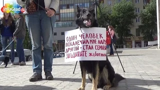 В Архангельске прошла всероссийская акция против уничтожения бездомных животных