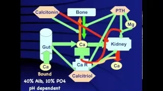 Hypocalcemia  When, why and how?