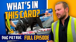 Dog Stops Coc*ine Filled Christmas Card At the Border! | Dog Patrol - Season 8 Episode 3