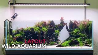 WILD AQUARIUM LAYOUT - Setup Hồ Thủy Sinh phong cách Hoang Dã - TẢ ĐỊA HÌNH CAO NGUYÊN VÁCH ĐÁ