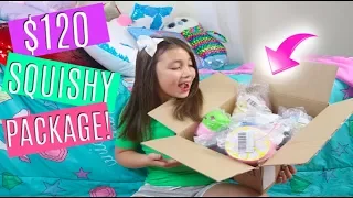 $120 HUGE SQUISHY PACKAGE!! SUPER SLOW RISING SQUISHIES!!