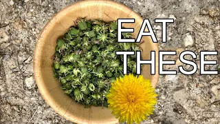 How To Make Dandelion Capers