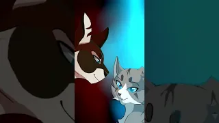 warrior cats ivypool & hawkfrost