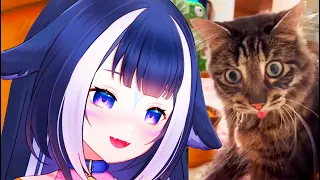 Shylily Vtuber React To Memes