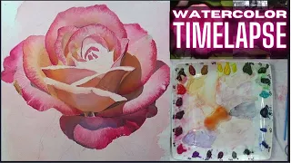 Painting a Sunlit Rose: Watercolor Timelapse