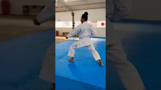 Primeiro Kata do Karate