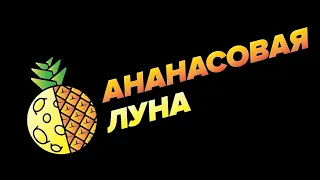 ВИА "Ананасовая Луна" на праздновании Международного дня молодёжи 12.08.2023