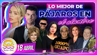 Kalimba, Melissa Galindo, Sandra Itzel, Adrián Di Monte | Lo Mejor de Pájaros | 18/04/2024