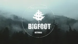 Terrifying Nightime Bigfoot Encounters