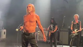 Iggy Pop - I Wanna Be Your Dog (with Slash) LIVE