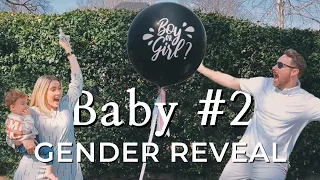 Our Gender REVEAL | Baby Stevens #2