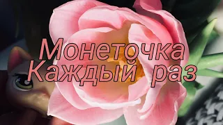 Lps клип |Монеточка - Каждый раз