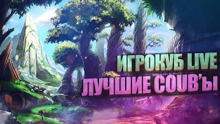 COUB лучшее / Best Coub / Коуб новое / Re:COUB # 5