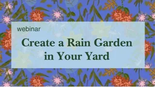 Creating A Rain Garden