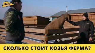 Сколько стоит козья ферма? Цена молока?  Юрта и экопоселения. Козоводство