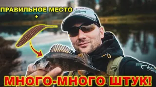 Микроджиг + Отводной поводок. Работа в тандеме. Попали на вечерний КЛЁВ!