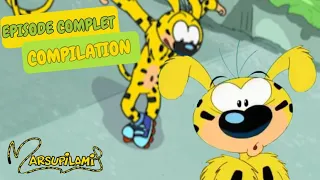 Le marsupilami s'essaie à une nouvelle activité  | Compilation | Marsupilami en Français