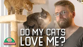 I test my cat's love