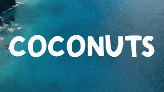 Kim Petras - Coconuts (Lyrics)