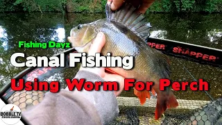 Canal Fishing Using Worm For Perch