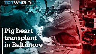 US Doctor successfully implant the heart of a pig inside a human