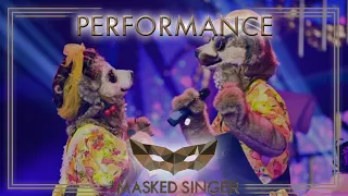 Pretty Woman - Roy Orbison | Die Erdmännchen | The Masked Singer | ProSieben