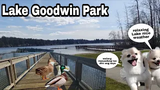 Lake Goodwin Park