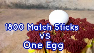 Match Sticks VS Egg | Match box Experiments | How does it | Home made Experiments | Suhaib Mkd