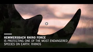 Hemmersbach Rhino Force - A Direct Action saving Rhinos from Extinction