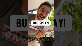 How to Make a Bug Spray for Plants | creative explained