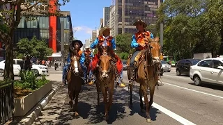 Dia Mundial Sem Carro tem protesto e até passeio a cavalo na avenida Paulista