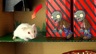 Hamzi vs Zombies || Escape from obstacle course maze🐹Hamster stories