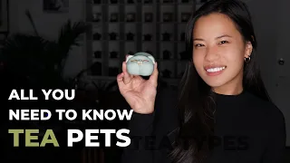 Introduction to Tea Pets | Tea with Brigitte