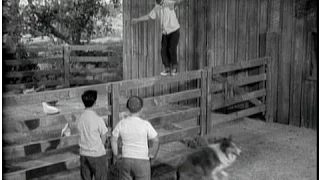 Lassie - Episode #77 - "Challenge" – Season 3, Ep. 12 - 11/25/1956