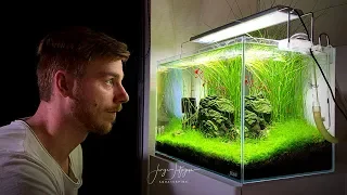 PLANTED AQUARIUM MISTAKES! Ep.01 #JSSCAPEREVIEW