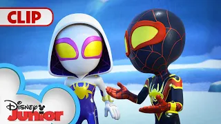 Team Spidey saves a Baby Penguin 🐧 | Marvel's Spidey and his Amazing Friends | @disneyjunior