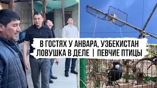 Обстановка по кайфу | Крестовина-ловушка | В гостях у Анвара | Pigeon trap | Бойные голуби