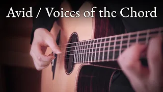 Avid / Voices of the Chord - 86 Eighty Six ED (Fingerstyle Guitar)