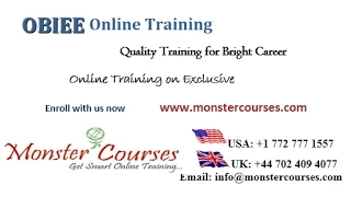 OBIEE Online Training, OBIEE 11g Online Training, Online OBIEE Training @ Monstercourses