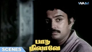 Paadu Nilave Tamil Movie Scene 08 | Mohan | Nadhiya | Ravichandran | K. Rangaraj | WAM India Tamil