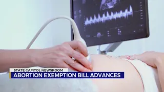 Abortion exemption bill advances