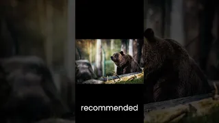 How to Survive a Bear Attack, According to Science' #shortsvideo #youtubeshorts #animals