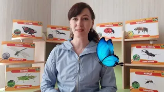 "Комахи. Метелик" заняття з розвитку мовлення/малювання для дітей старшого дошкільного віку
