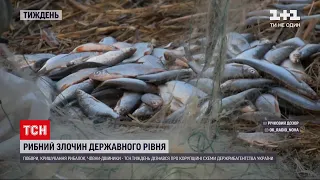 Новини тижня: як посеред українського лиману з`явився ставок та чому браконьєрство процвітає