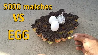 EXPERIMENT Match VS EGG || Eggs with 5000 matches science Experiment