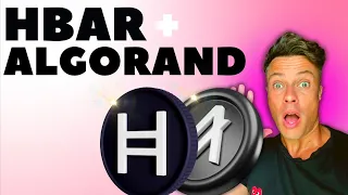 I Am BUYING Even More HBAR And ALGORAND Right Now Because Of This ...