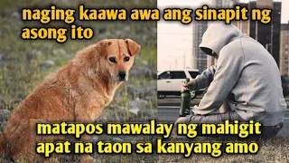 kaawa awang asong apat na taong naghihintay sa kanyang amo na babalikan siya..